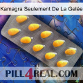 Kamagra Seulement De La Gelée cialis1
